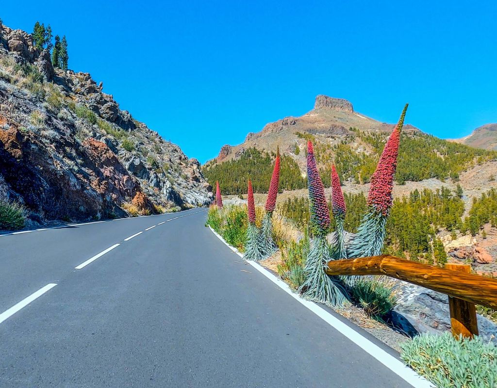 Kerze des Teide