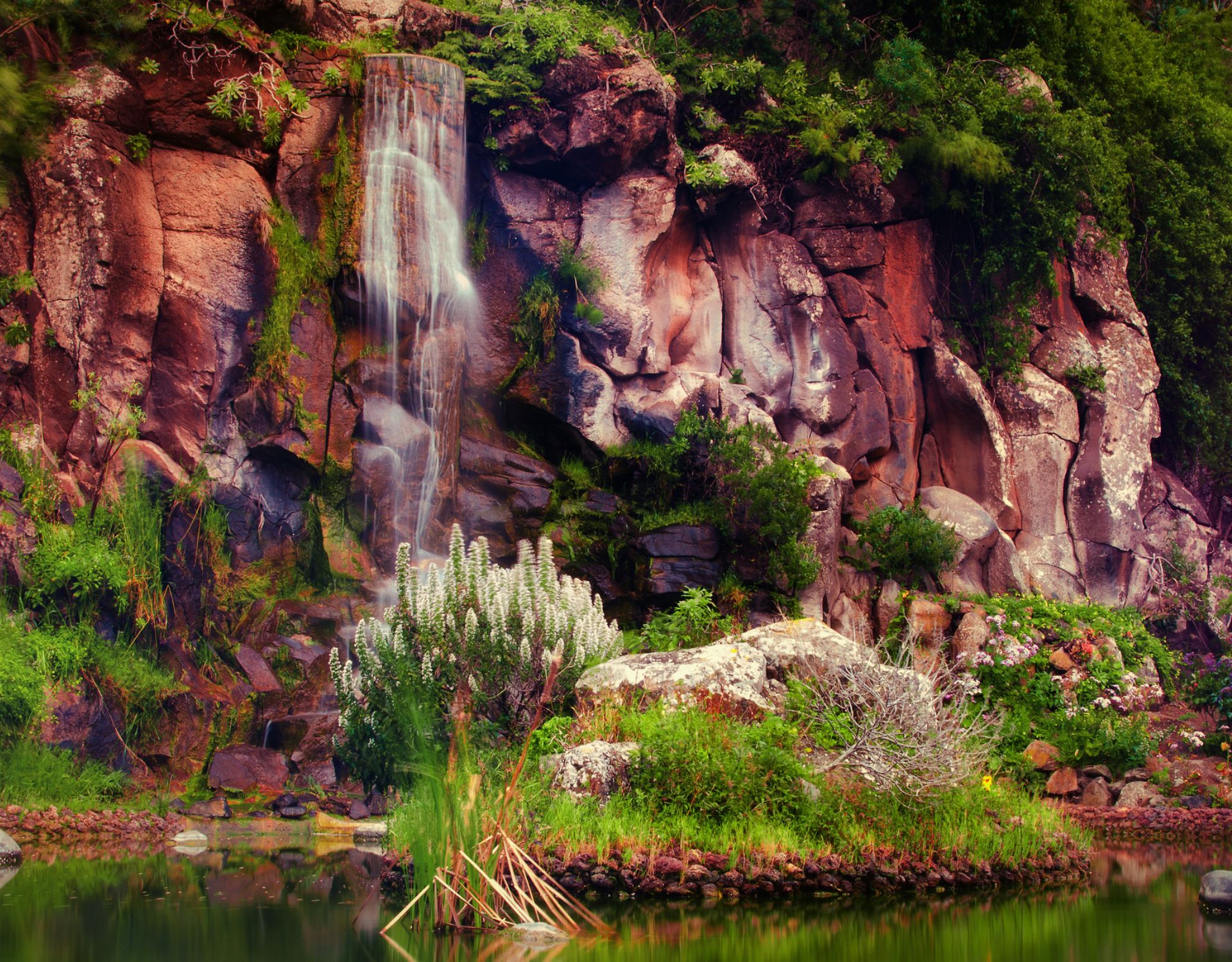 Kanaren-abseits-der-Massen-In-diesem-Botanischen-Garten-singen-die-Pflanzen