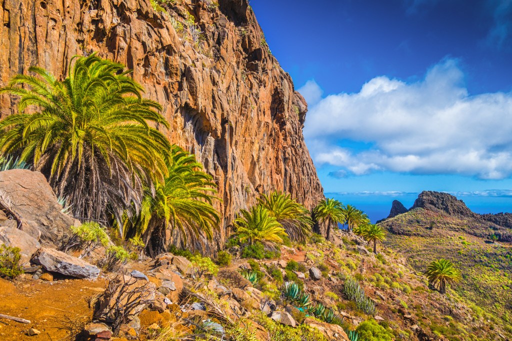 Santa Cruz auf Teneriffa: Hier wird der Lauf etwas herausfordernder.