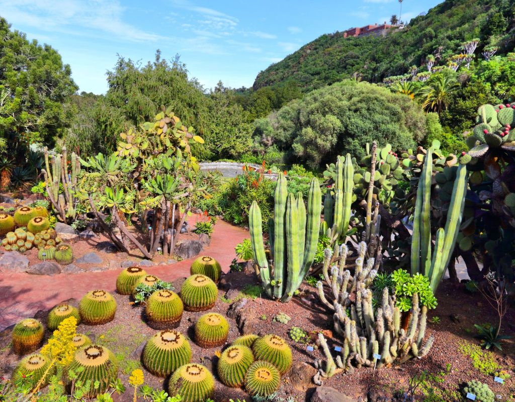 Jardín Botánico