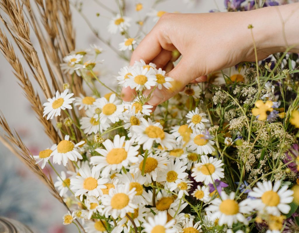 Margeriten