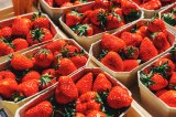 Erdbeeren am Marktstand.