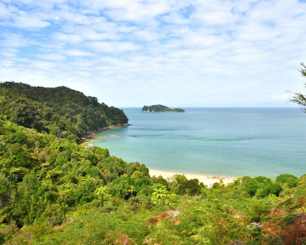 Blick auf einen Strand im Abel-Tasman-Nationalpark