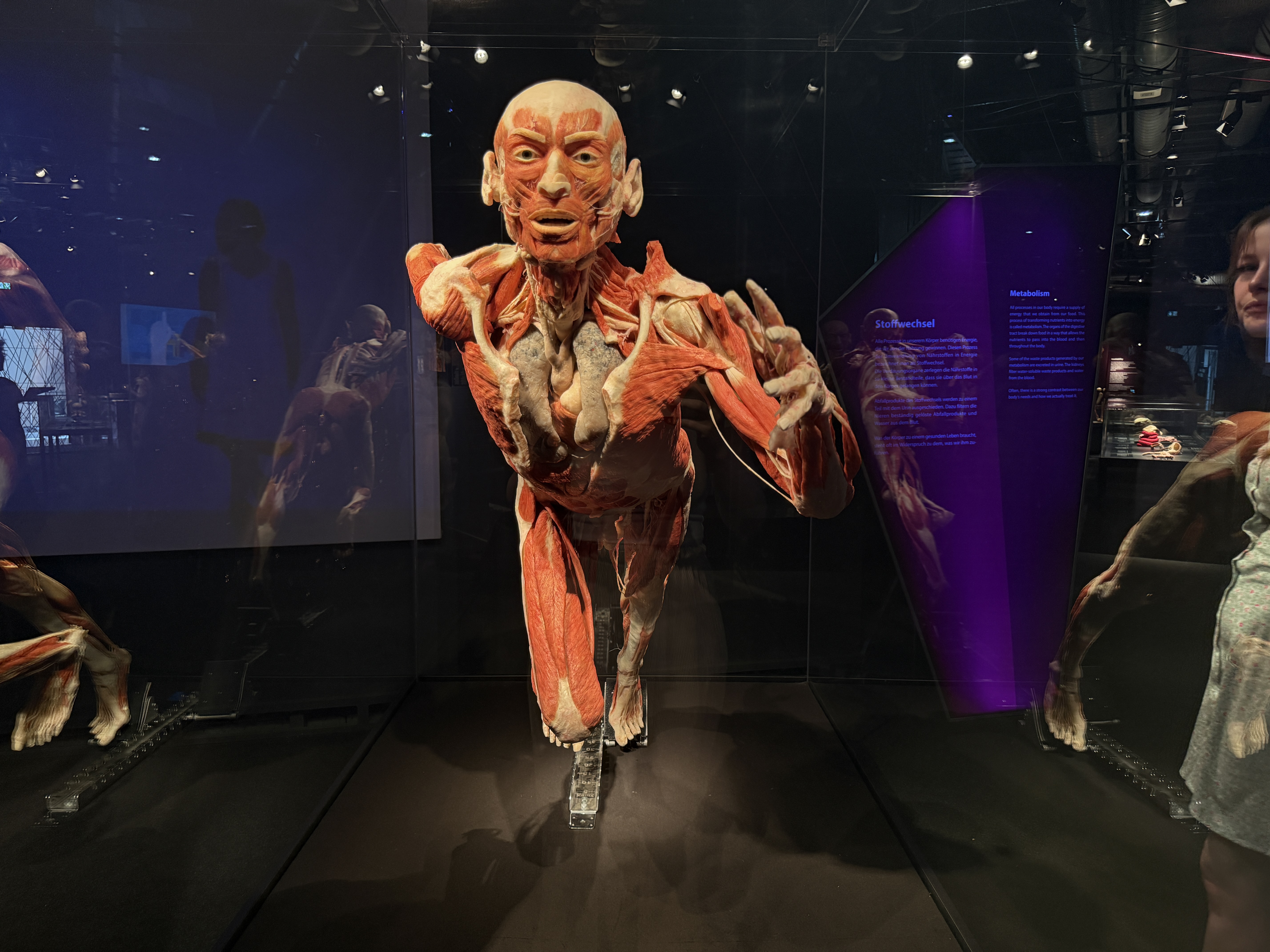Ausstellung-in-Berlin-Lohnt-sich-K-rperwelten-wirklich-Unser-ehrliches-Fazit-