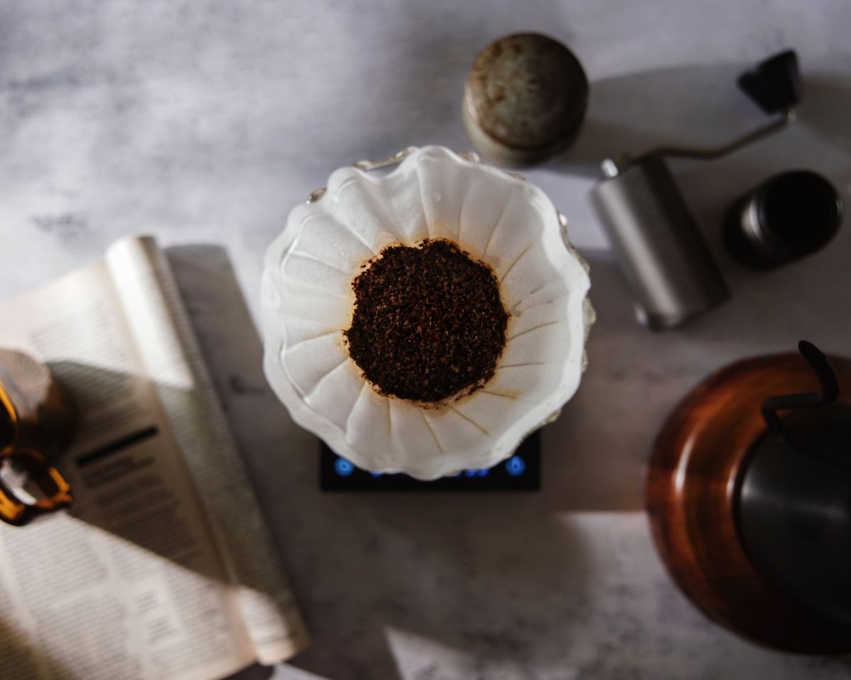 Kaffeesatz als Dünger