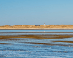 Ellenbogen auf Sylt