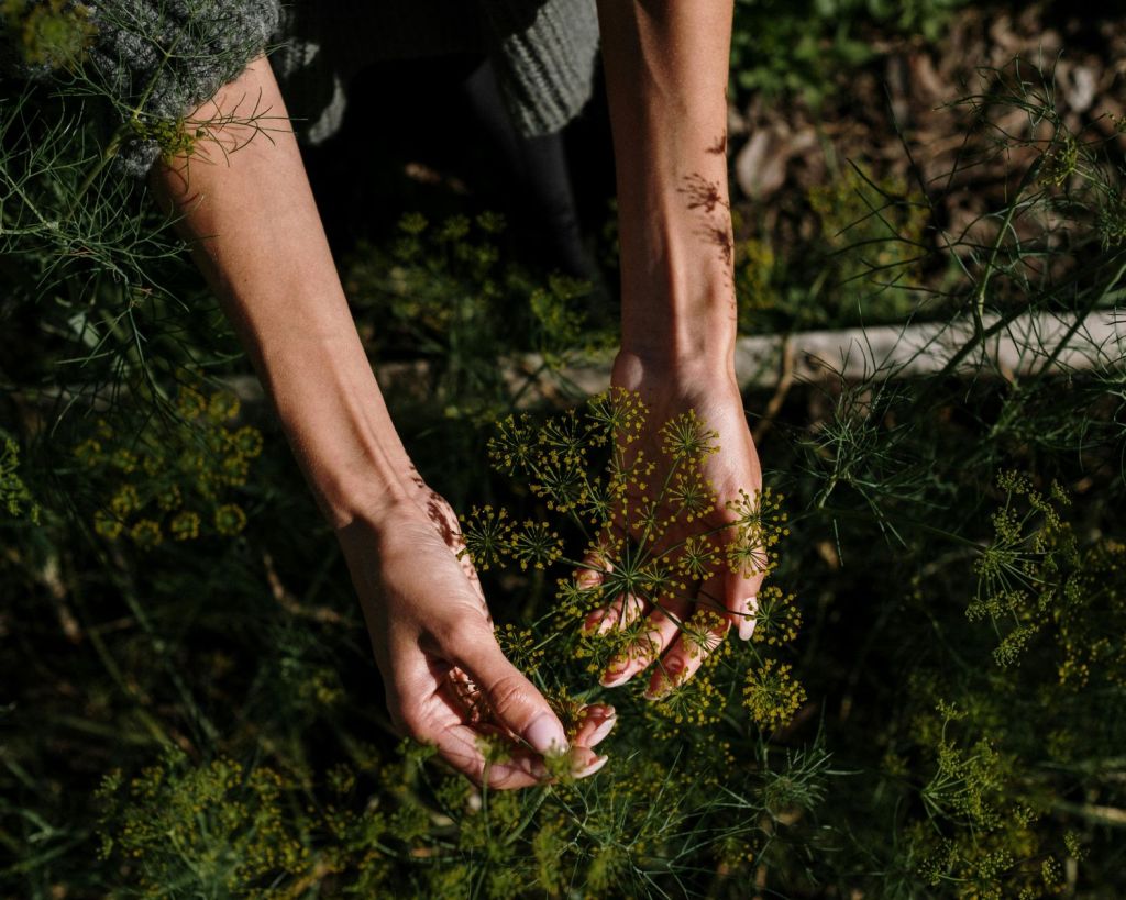 Frau hält Pflanzen in der Hand