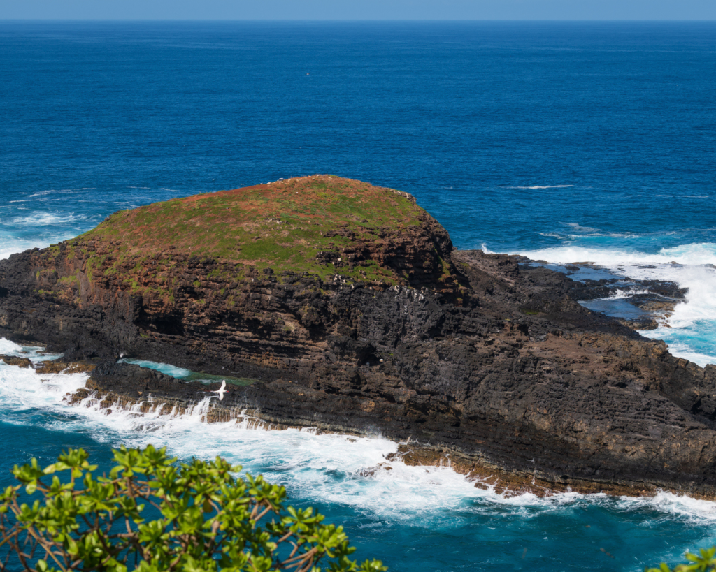 Kauai zeichnet sich durch eine vielfältige Landschaft aus, die von dramatischen Klippen, üppigen Regenwäldern, rauschenden Wasserfällen bis hin zu trockeneren Gebieten wie dem Waimea Canyon und paradiesischen Sandstränden reicht.