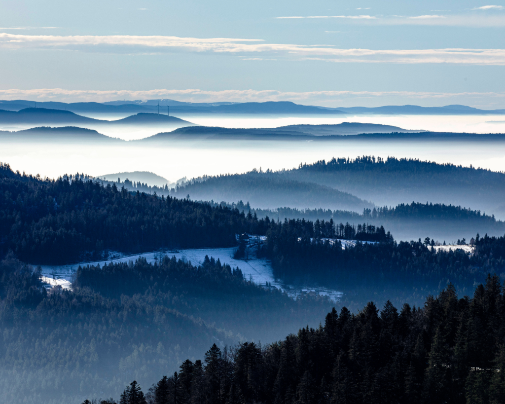 Die Schwarzwaldhochstraße führt auf etwa 60 Kilometern von Baden-Baden nach Freudenstadt. 