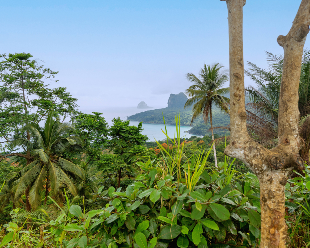 Am 29. Mai 1919 wurde Albert Einsteins Allgemeine Relativitätstheorie anhand einer Sonnenfinsternis erstmals experimentell bestätigt.