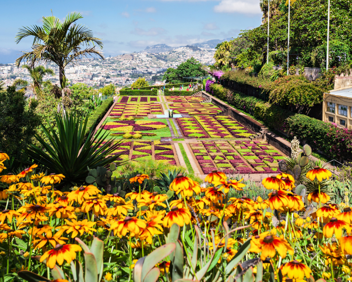 Madeira stellt eine wunderschöne Alternative zu den Kanaren dar.